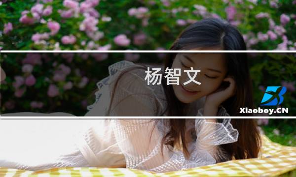 杨智文(关于杨智文的简介)