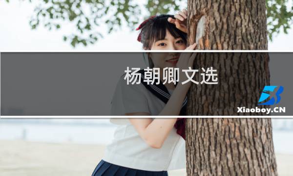 杨朝卿文选(关于杨朝卿文选的简介)图片
