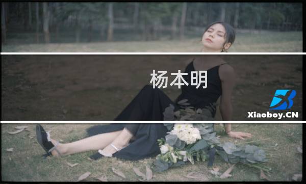 杨本明(关于杨本明的简介)