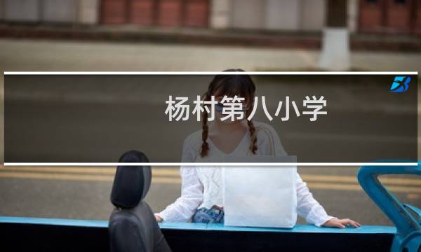杨村第八小学(关于杨村第八小学的简介)