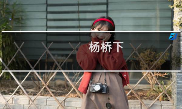 杨桥下(关于杨桥下的简介)