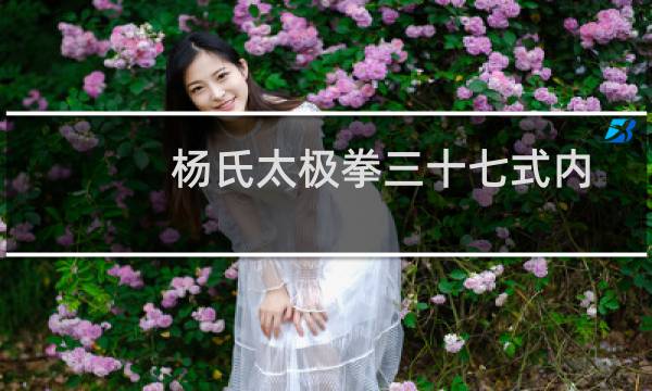 杨氏太极拳三十七式内功述真(关于杨氏太极拳三十七式内功述真的简介)图片