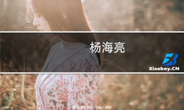 杨海亮(关于杨海亮的简介)