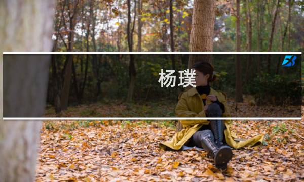 杨璞(关于杨璞的简介)图片