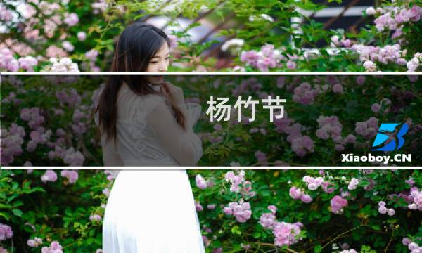 杨竹节(关于杨竹节的简介)