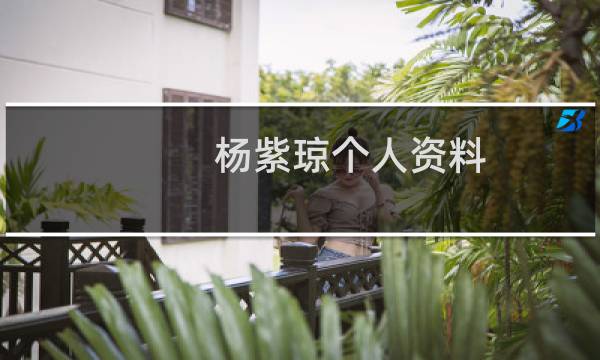 杨紫琼个人资料