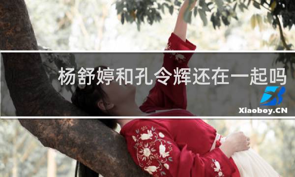 杨舒婷和孔令辉还在一起吗