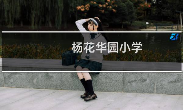 杨花华园小学(关于杨花华园小学的简介)图片