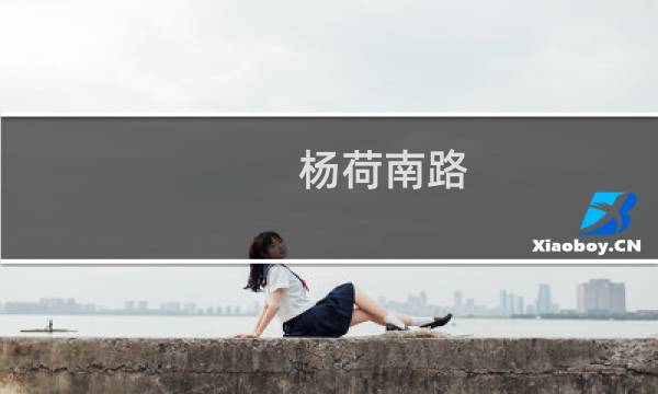 杨荷南路(关于杨荷南路的简介)图片