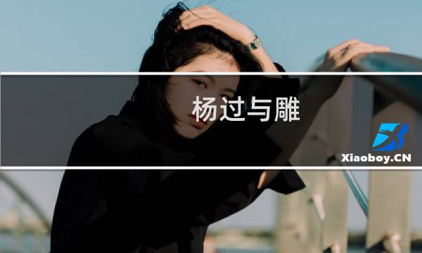 杨过与雕/杨过与他的大雕什么梗