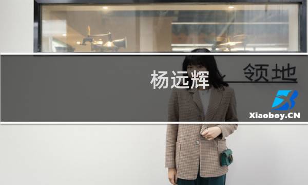 杨远辉(关于杨远辉的简介)