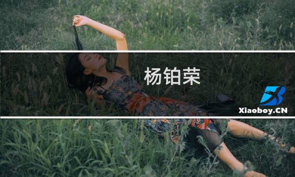 杨铂荣(关于杨铂荣的简介)