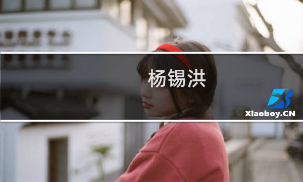 杨锡洪(关于杨锡洪的简介)图片