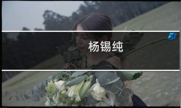 杨锡纯(关于杨锡纯的简介)图片