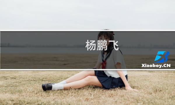 杨鹏飞(关于杨鹏飞的简介)图片