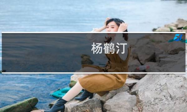 杨鹤汀(关于杨鹤汀的简介)