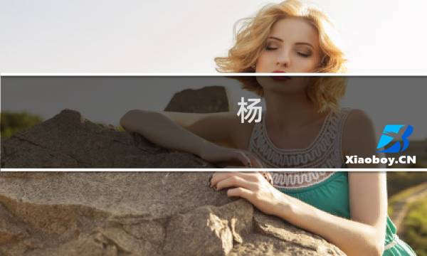 杨-巴克斯特方程和量子包络代数(关于杨-巴克斯特方程和量子包络代数的简介)