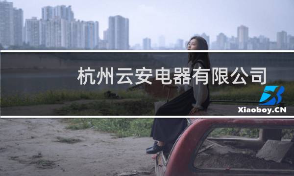 杭州云安电器有限公司(关于杭州云安电器有限公司的简介)图片