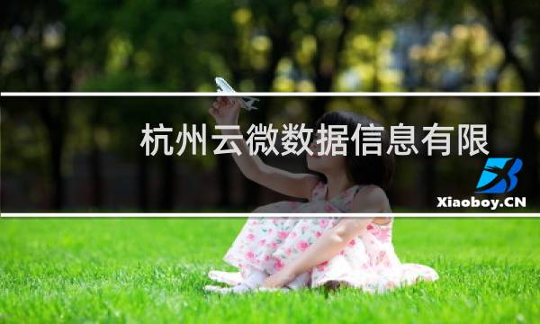 杭州云微数据信息有限公司(关于杭州云微数据信息有限公司的简介)图片
