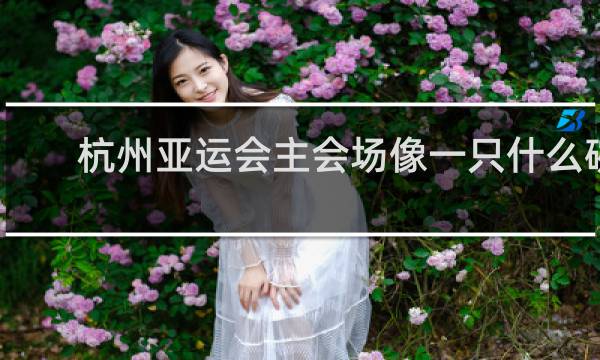 杭州亚运会主会场像一只什么碗