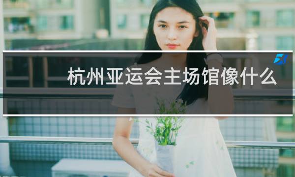 杭州亚运会主场馆像什么