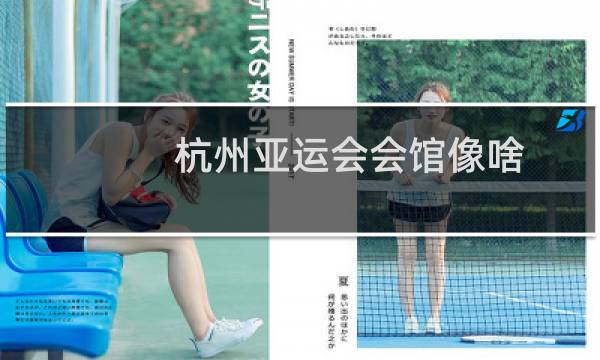 杭州亚运会会馆像啥