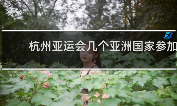 杭州亚运会几个亚洲国家参加