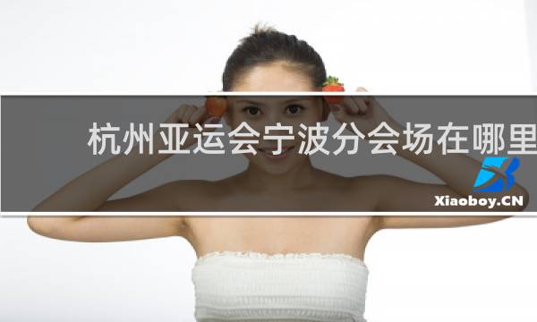 杭州亚运会宁波分会场在哪里