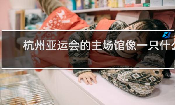杭州亚运会的主场馆像一只什么造型