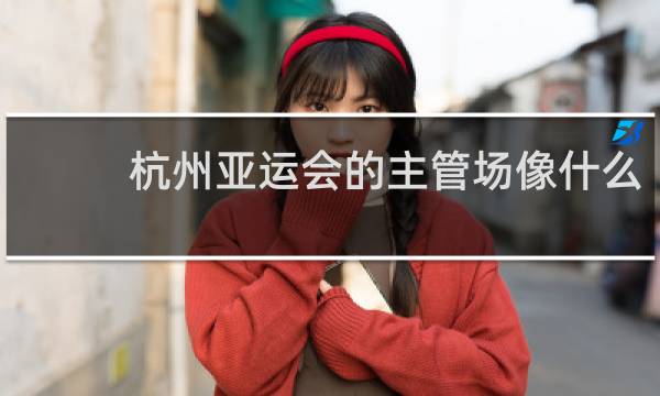 杭州亚运会的主管场像什么