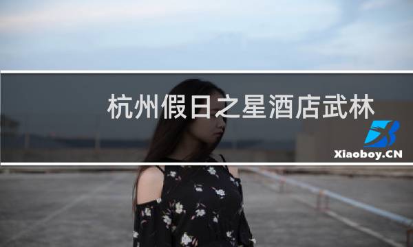 杭州假日之星酒店武林广场店(关于杭州假日之星酒店武林广场店的简介)图片