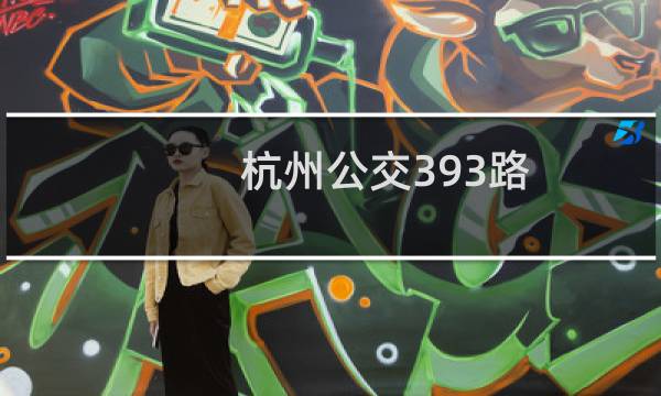 杭州公交393路(关于杭州公交393路的简介)图片