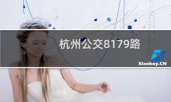 杭州公交8179路(关于杭州公交8179路的简介)