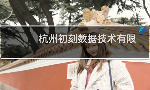 杭州初刻数据技术有限公司(关于杭州初刻数据技术有限公司的简介)