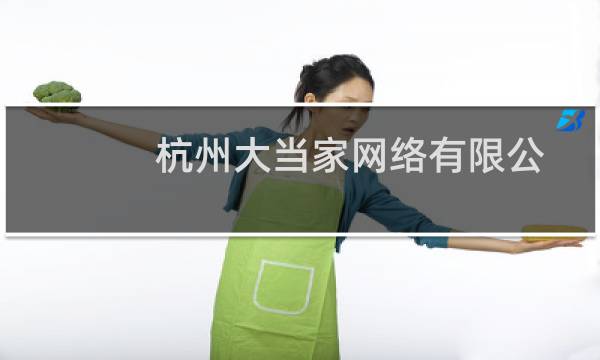杭州大当家网络有限公司(关于杭州大当家网络有限公司的简介)