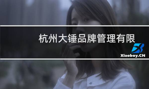 杭州大锤品牌管理有限公司(关于杭州大锤品牌管理有限公司的简介)