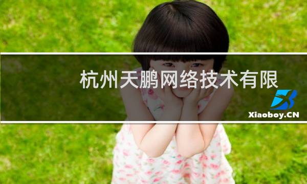 杭州天鹏网络技术有限公司(关于杭州天鹏网络技术有限公司的简介)