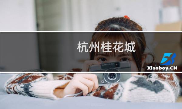 杭州桂花城(关于杭州桂花城的简介)图片