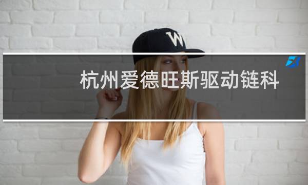 杭州爱德旺斯驱动链科技服务有限公司(关于杭州爱德旺斯驱动链科技服务有限公司的简介)图片