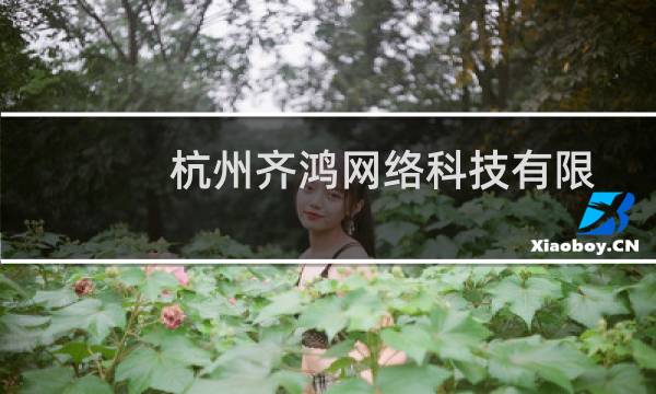 杭州齐鸿网络科技有限公司(关于杭州齐鸿网络科技有限公司的简介)