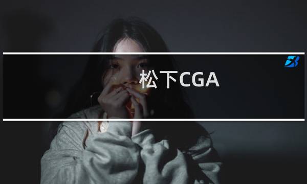 松下CGA-S002GK/B(关于松下CGA-S002GK/B的简介)图片