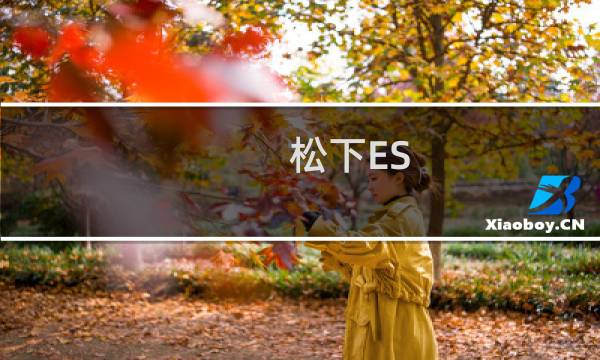 松下ES-RC30-K(关于松下ES-RC30-K的简介)图片