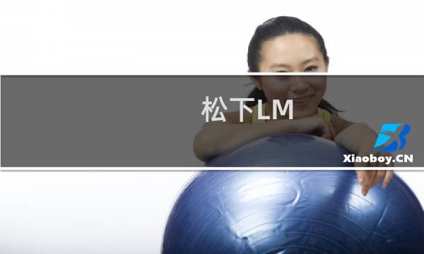 松下LM-BR25MDE(关于松下LM-BR25MDE的简介)图片