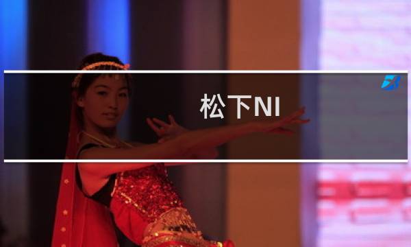 松下NI-H50E(关于松下NI-H50E的简介)