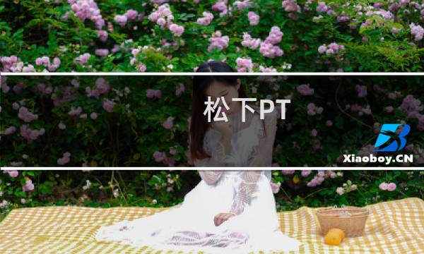 松下PT-FRZ78C(关于松下PT-FRZ78C的简介)