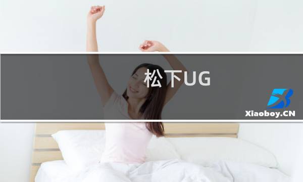 松下UG-3313(关于松下UG-3313的简介)图片