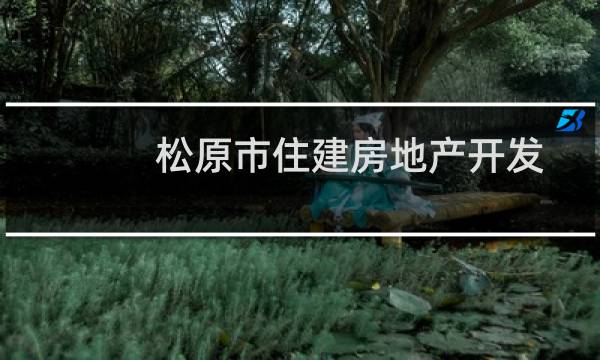 松原市住建房地产开发有限公司(关于松原市住建房地产开发有限公司的简介)