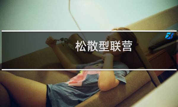 松散型联营(关于松散型联营的简介)