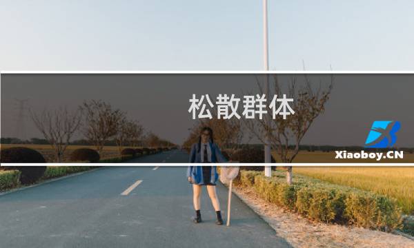 松散群体(关于松散群体的简介)图片