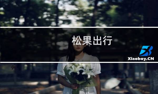 松果出行